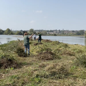 FILL REFILL team hay raking in the sun with The Wildlife Trust BCN Wild Work Day.