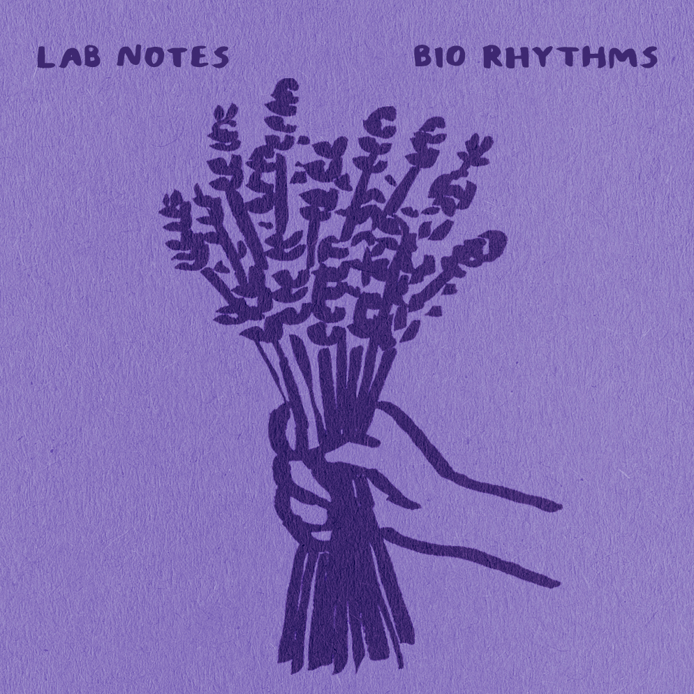 lavender-playlist